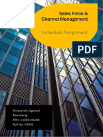 Sales Force & Channel Management: Individual Assignment