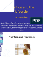 Nutrition Lifecycle - Slide-Deck