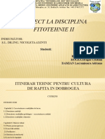 Proiect Fitotehnie