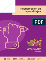 Recuperacion de Aprendizajes Prim Alta