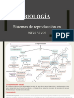 BIOLOGIA REPRODUCCIÓN