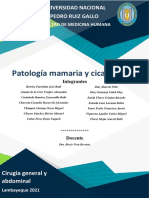 Clase 4.2.patología Mamaria y Cicatrización