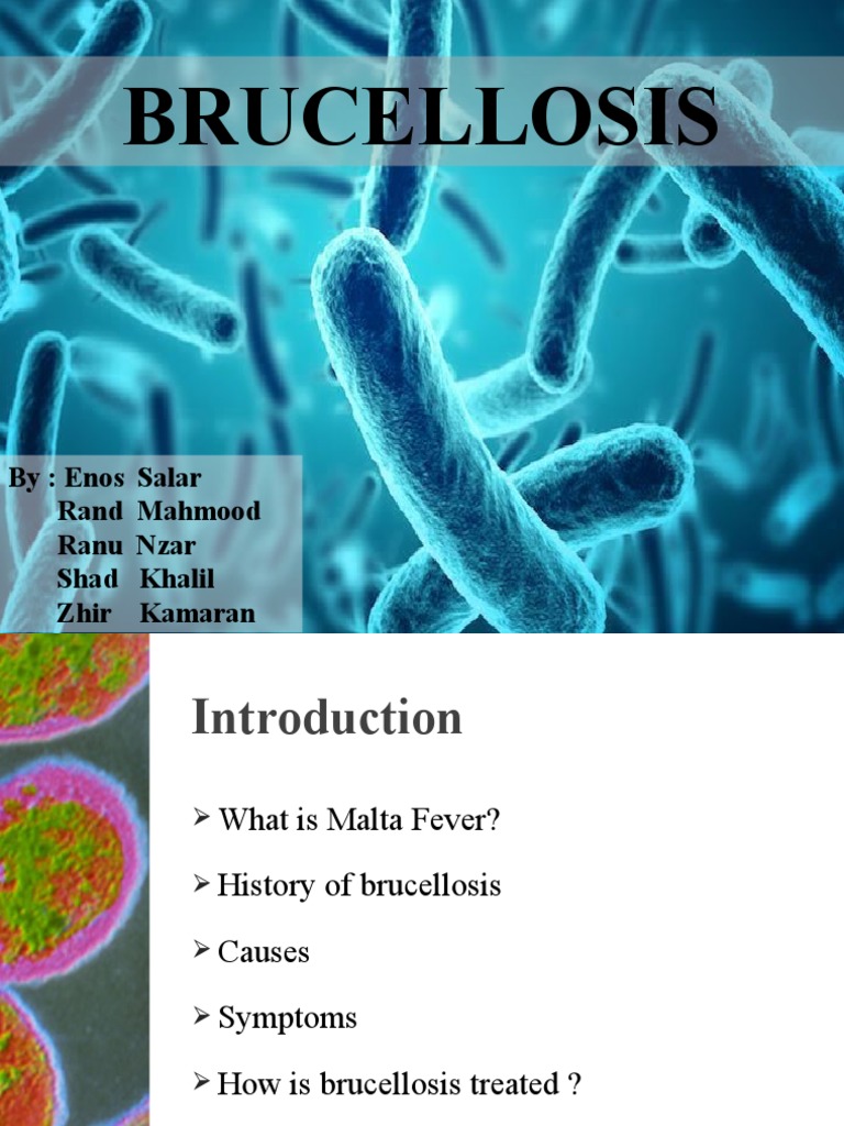 Brucellosis: By: Enos Salar Rand Mahmood Ranu Nzar Shad Khalil Zhir ...
