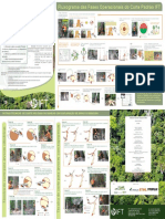 5.encarte IFT Técnicas de Corte Direcional em EIR