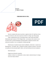 LP 10 BFKT-Fibrobronhos