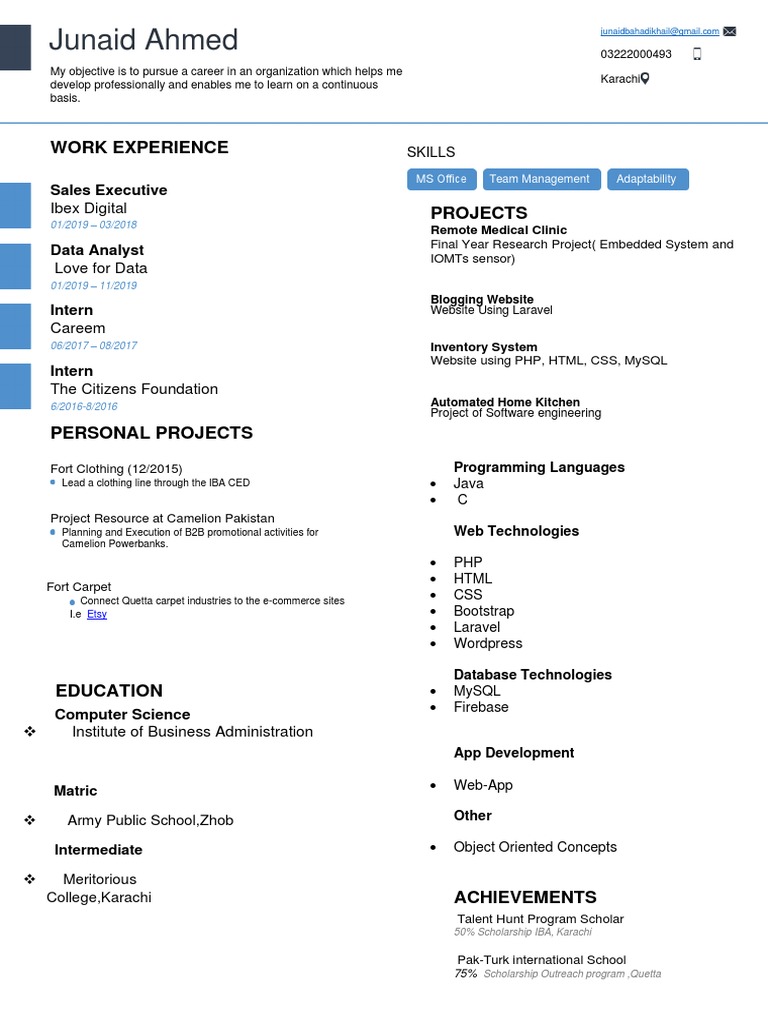 Junaid Ahmed: Work Experience | PDF | Information Age | Information ...