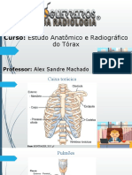 Estudo Radiográfico Do Tórax