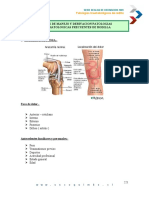 Patologias Frecuentes de Rodilla