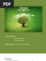 Download Olive Plantation Business Plan Pakistan by Zaka Ul Hassan SN55597150 doc pdf