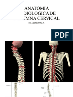 Anatomia Radiologica de Columna Cervical