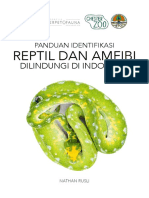 Reptilia & Amfibia