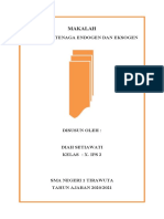 Makalah Fitri Pengaruh Tenaga Endogen Dan Eksogen Terhadap Kehidupan