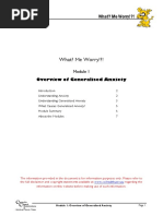 What Me Worry - 01 - Overview of Generalised Anxiety