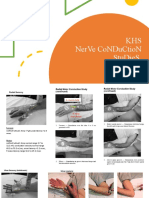 Khs Nerve Conduction Studies: Ansi Rinjani