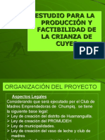 Proyecto Cuyes III