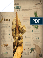 Infografía-Tráfico-Ilegal-de-Reptiles-en-Perú - (Online PDF)
