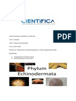 Vilca - Jerry - 2B1 - Phylum Echinodermata y Phylum Chordata - 24-01-2022