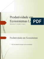 Produtividade em Ecossistemas Lóticos