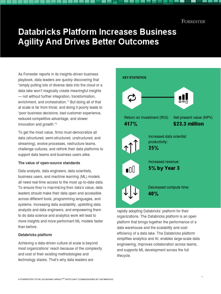 Databricks Platform Increases Business Agility and Drives Better ...