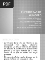 Download ENFERMEDAD DE GUMBORO by Ernesto Alvirde SN55605254 doc pdf