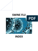 Swine Flu