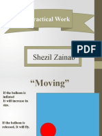 Practical Work: Shezil Zainab