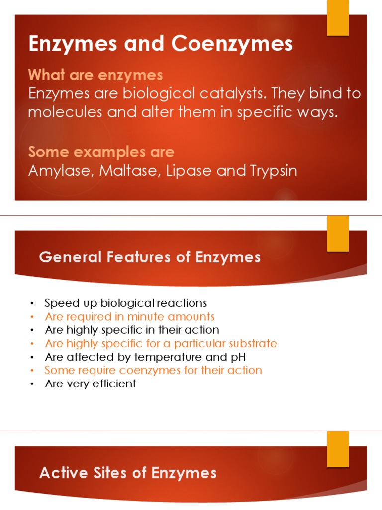 Enzymes and Coenzymes PDF Enzyme Catalysis