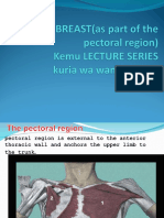 Pectoral Region and The Breast