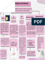 Mapa Conceptual Origenes Cartograficos