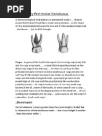SLOB Rule for Dental Radiography | PDF