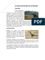 Animales de Piura en Peligro de Extinción