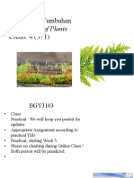 BGY 3103 Biodiversiti Tumbuhan Credit: 4 (3+1) : Biodiversity of Plants
