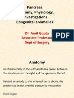 Pancreas: Anatomy, Physiology, Investigations Congenital Anomalies