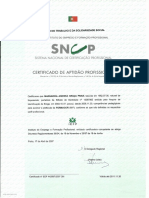 Certificado D Aptidão Profissional