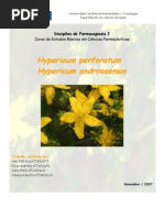 Hypericum..