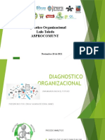 Diagnostico Organizacional