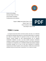 Tema 3 Levas