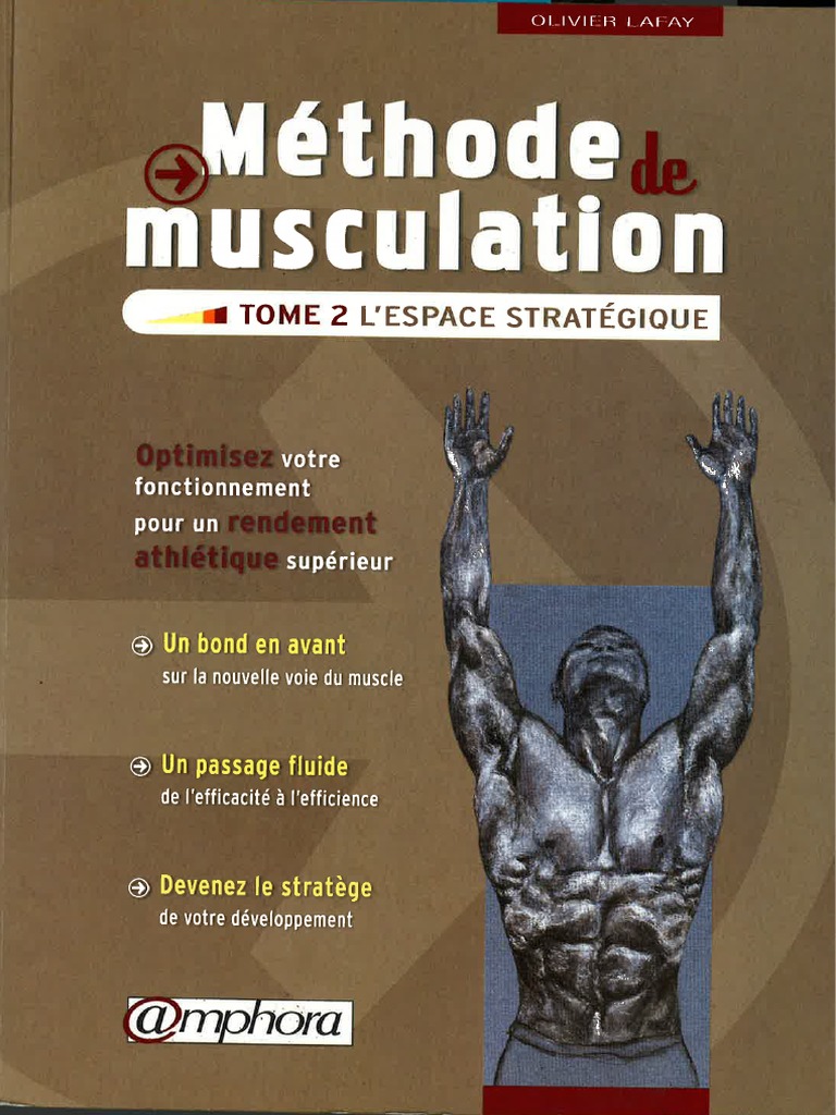 Méthode Lafay Tome 2 L Espace Stratégique PDF