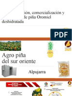 Agro Piña