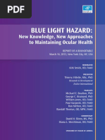 Blue Light Roundtable White Paper