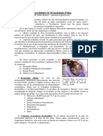 Silo - Tips Generalidades de Dermatologia Felina MV Pablo Manzuc