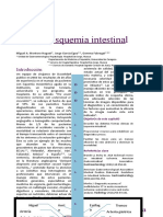 Isquemia Intestinal