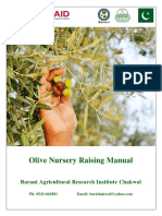 Olive Nursery Raising Manual