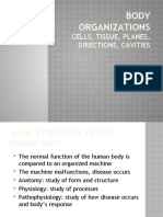 Body Organizations: Cells, Tissue, Planes, Directions, Cavities