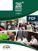Informe de Conflictos Mineros 2020