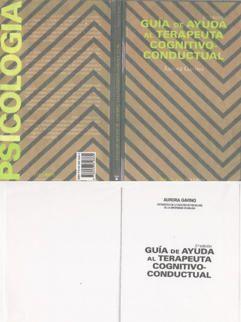 MANUAL DE T CNICAS Y TERAPIAS COGNITIVO CONDUCTUALES 2017 PDF GRATIS visual data 8