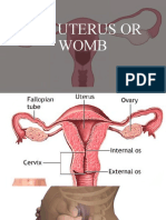 The Uterus or Womb