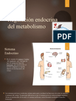 Regulación Endocrina Del Metabolismo