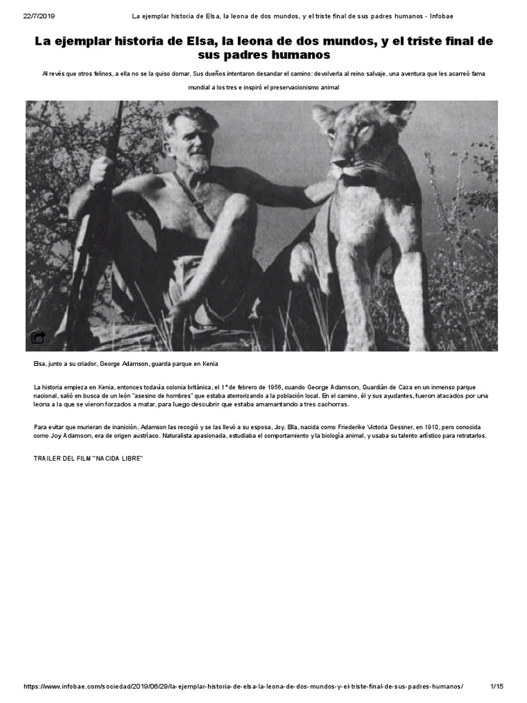 🏈 #TeamESP 🇪🇸 📣 ¡¡Tryouts de la Selección Nacional Femenina de Tackle!!  🏆 ¡¡Arranca el camino hacia el Europeo 2025-2026, donde España defenderá  título!! 📍 Madrid | Campo de Rugby Las Leonas, image size:768x1024