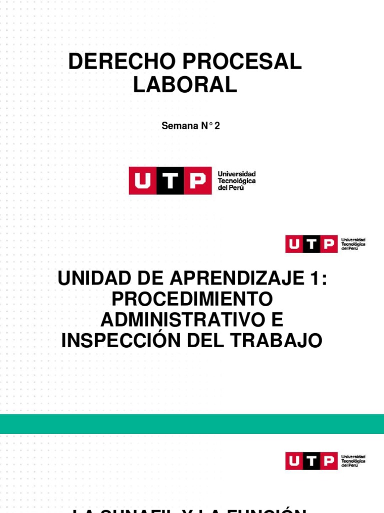Funciones de la SUNAFIL en Perú | PDF | Derecho laboral | Gobierno